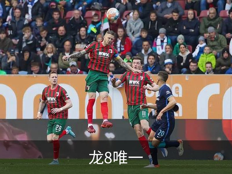 龙8唯一简介